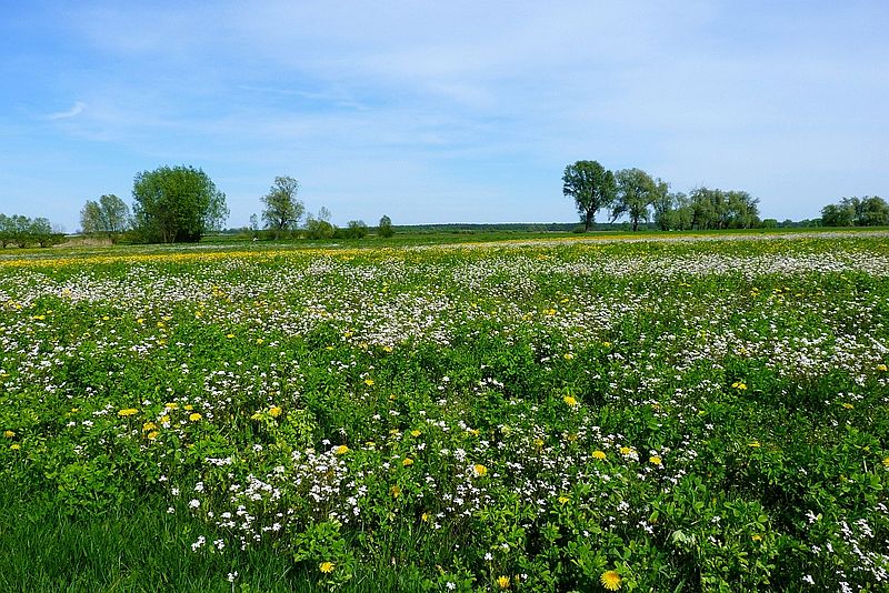 Wnętrze pokoju - agroturystyka Gawęda